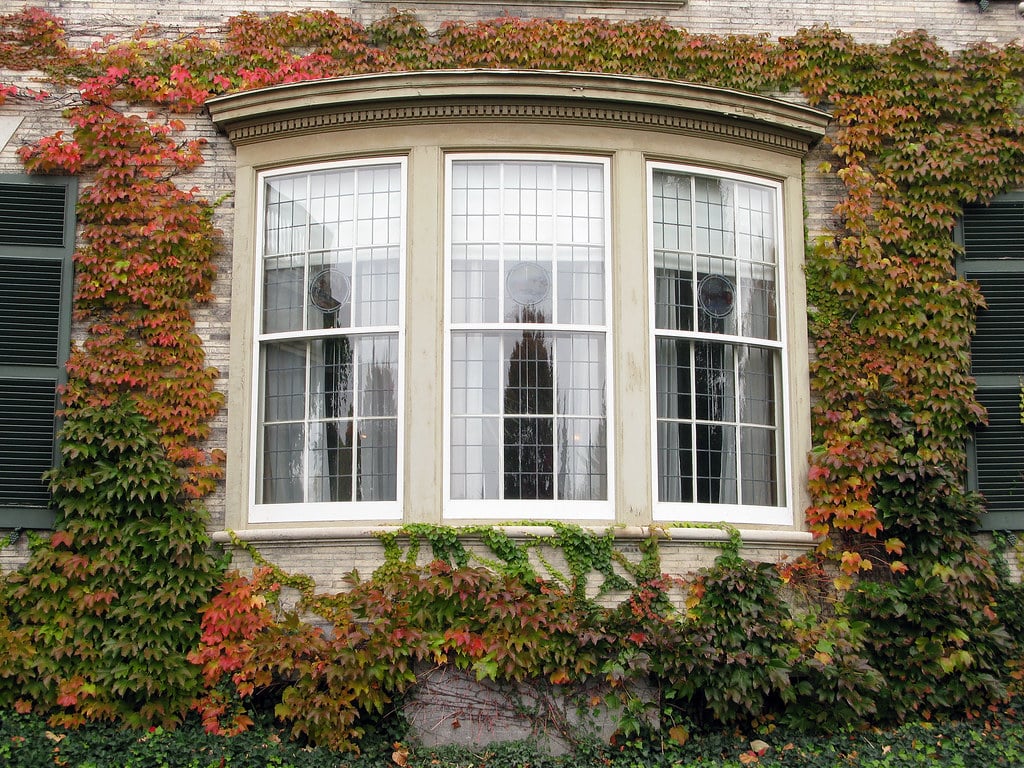 best bay window installation